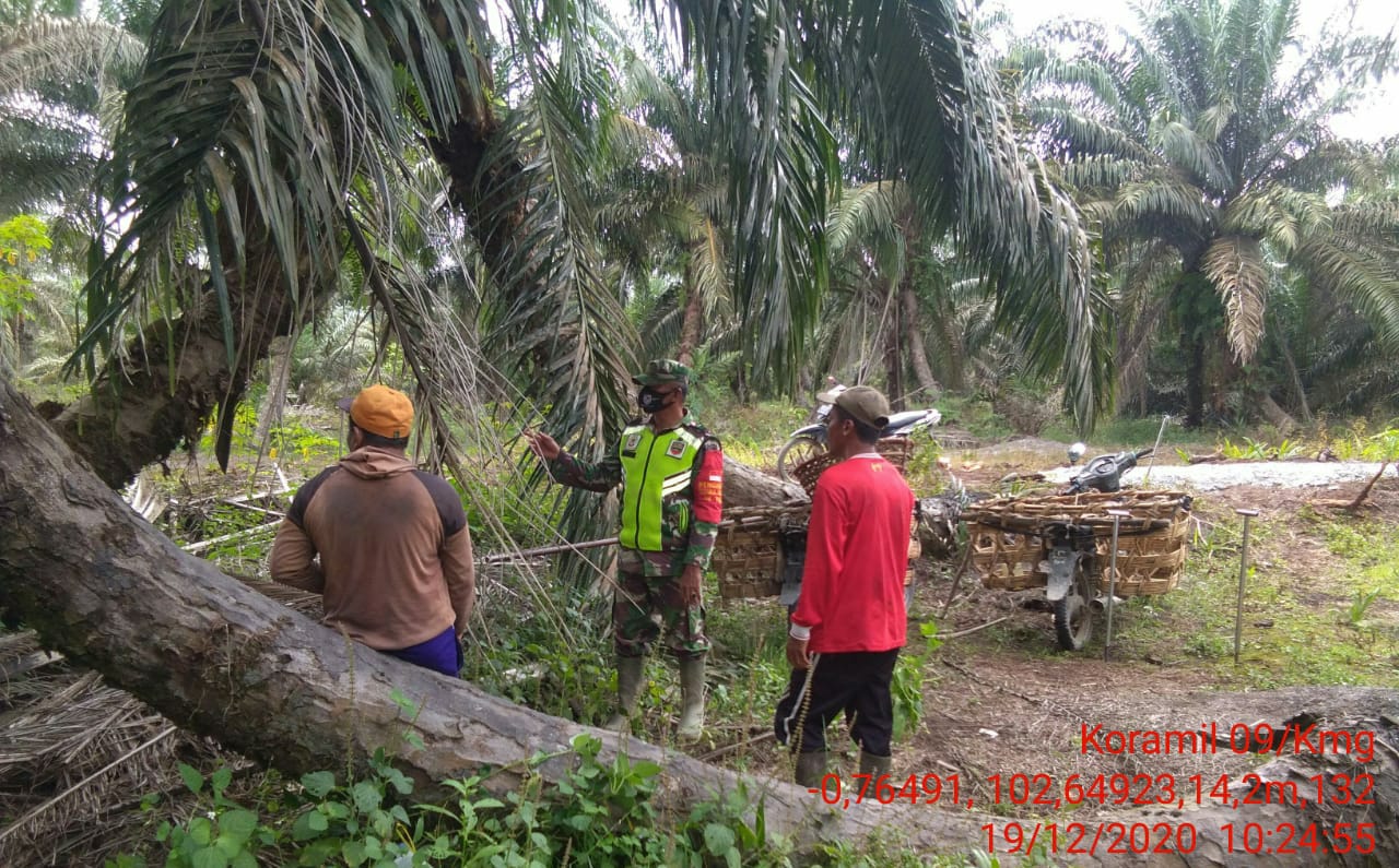 Lakukan Patroli Karhutla di Desa Kuala Keritang, Ini Pesan Serda Nofrijon