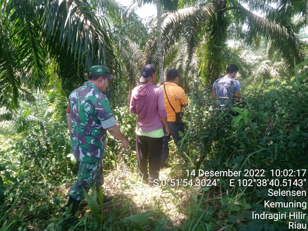 Patroli dan Sosialisasi Karhutla Bersama Babinsa Koramil 09/Kemuning di Binaan