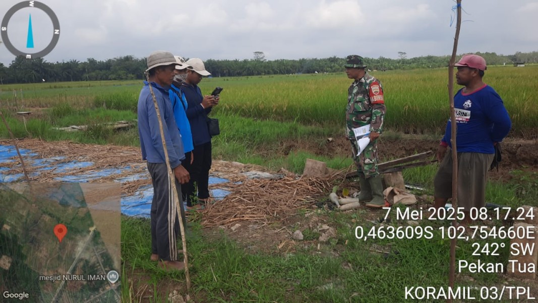 Bangun Koneksi Dengan Petani, Serma Damrianto Lakukan Komsos Disawah