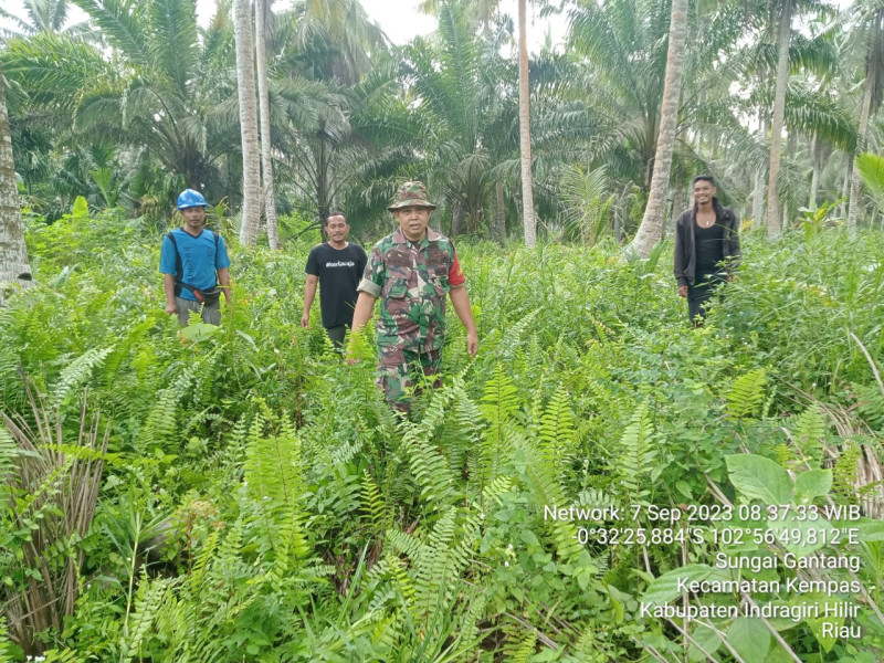 Babinsa 03/Tpl Serka Faisal Bersama Warga Lakukan Sosialisasi Dan Patroli Pencegahan Kebakaran Hutan dan Lahan