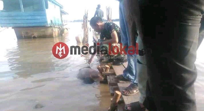 Geger, Mayat Pria Ditemukan Mengapung di Sungai Tak Jauh dari Mesjid Al-Huda Tembilahan