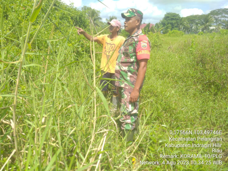 Babinsa Koramil 10/Pelangiran Turun Lakukan Patroli Karhutla di Binaan
