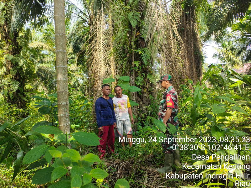 Telusuri Lahan dan Hutan Oleh Babinsa Koramil 09/Kemuning Demi Pencegahan Karhutla