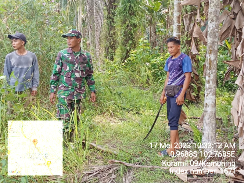 Babinsa Koramil 09/Kemuning Sosialisasi Karhutla di Kawasan Daerah Binaan