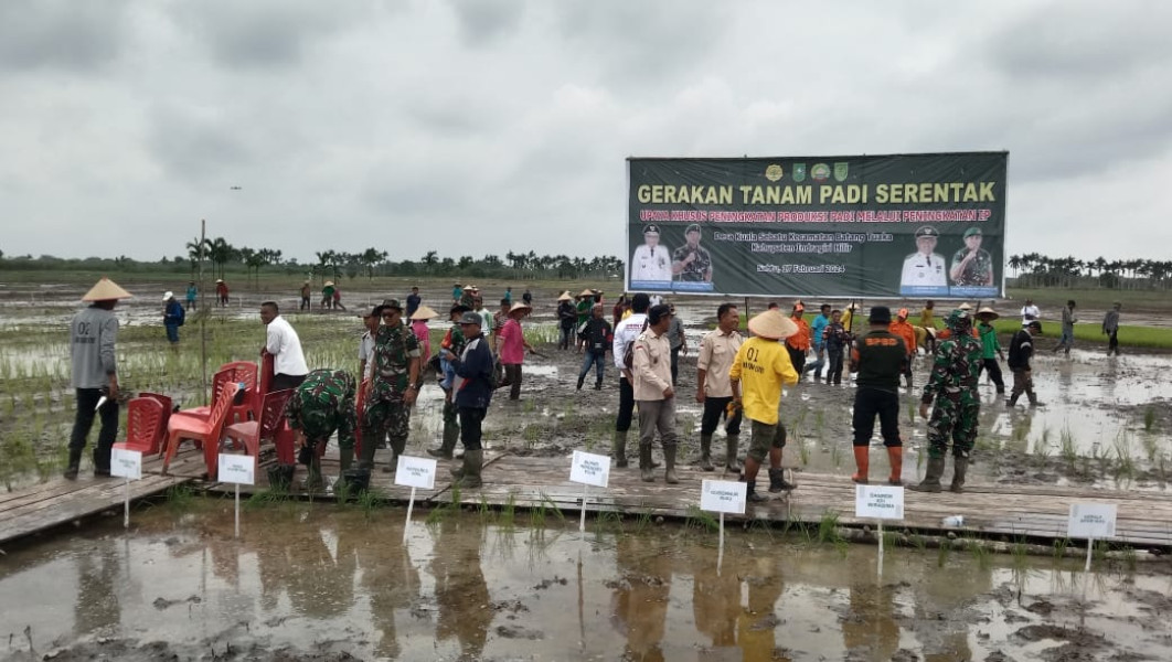 Wujudkan Program Ketahanan Pangan, Danramil 04/Kdr Bantu Petani Dalam Gerakan Tanam Padi Serentak