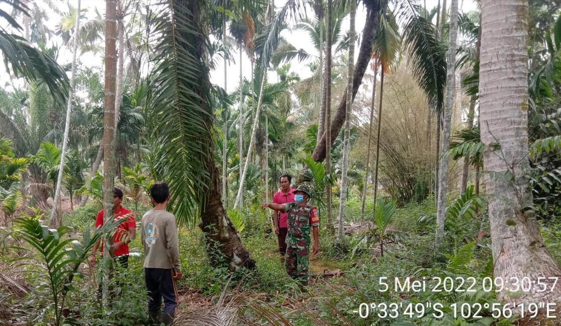 Babinsa Koramil 03/Tempuling Patroli Susuri Daerah Rawan Karhutla