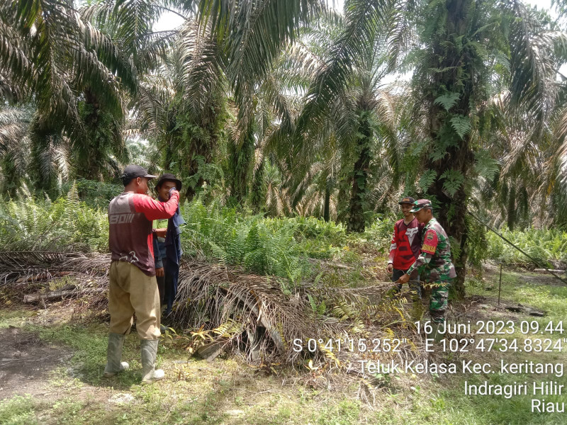 Sosialisasi dan Patroli Pencegahan Karhutla Oleh Babinsa Koramil 09/Kemuning