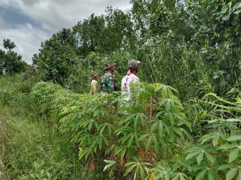 Serka Ferry Barus Laksanakan Patroli Tapal Batas dan Karhutla di Kecamatan Reteh