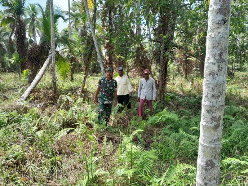 Minggu Pagi di Parit 2 Pulau Kijang: Peltu Nofiandi Patroli Tapal Batas, Pastikan Reteh Bebas Karhutla