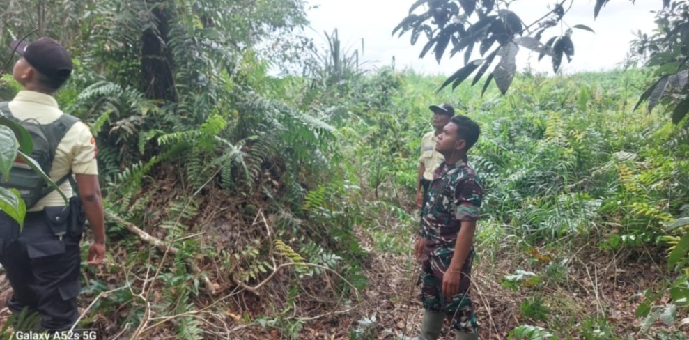 Sinergitas Tanpa Batas, Babinsa Koramil 05/Gas Rutin Lakukan Patroli Karhutla di Wilayah Binaan
