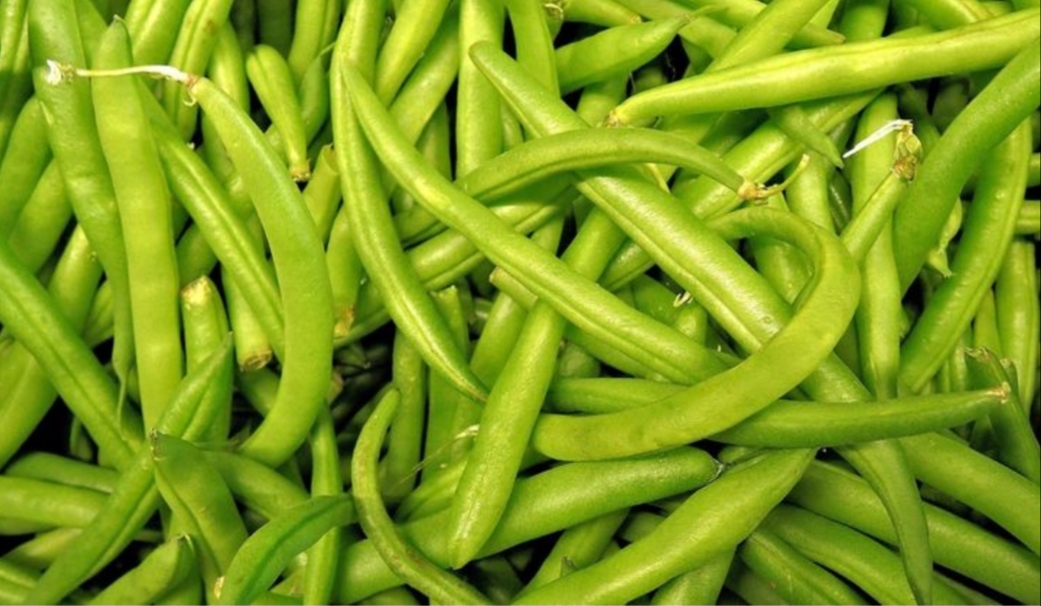 Cara Simpan Buncis agar Awet hingga 8 Bulan, Lihat Disini 