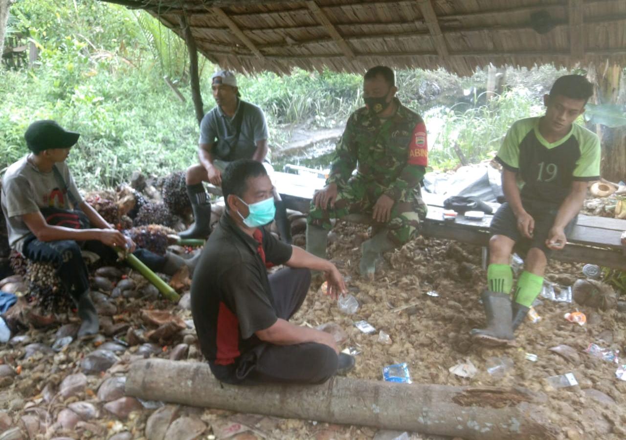 Babinsa Tanjung Pidada Koramil 03/Tempuling Lakukan Komsos Dengan Petani Kelapa