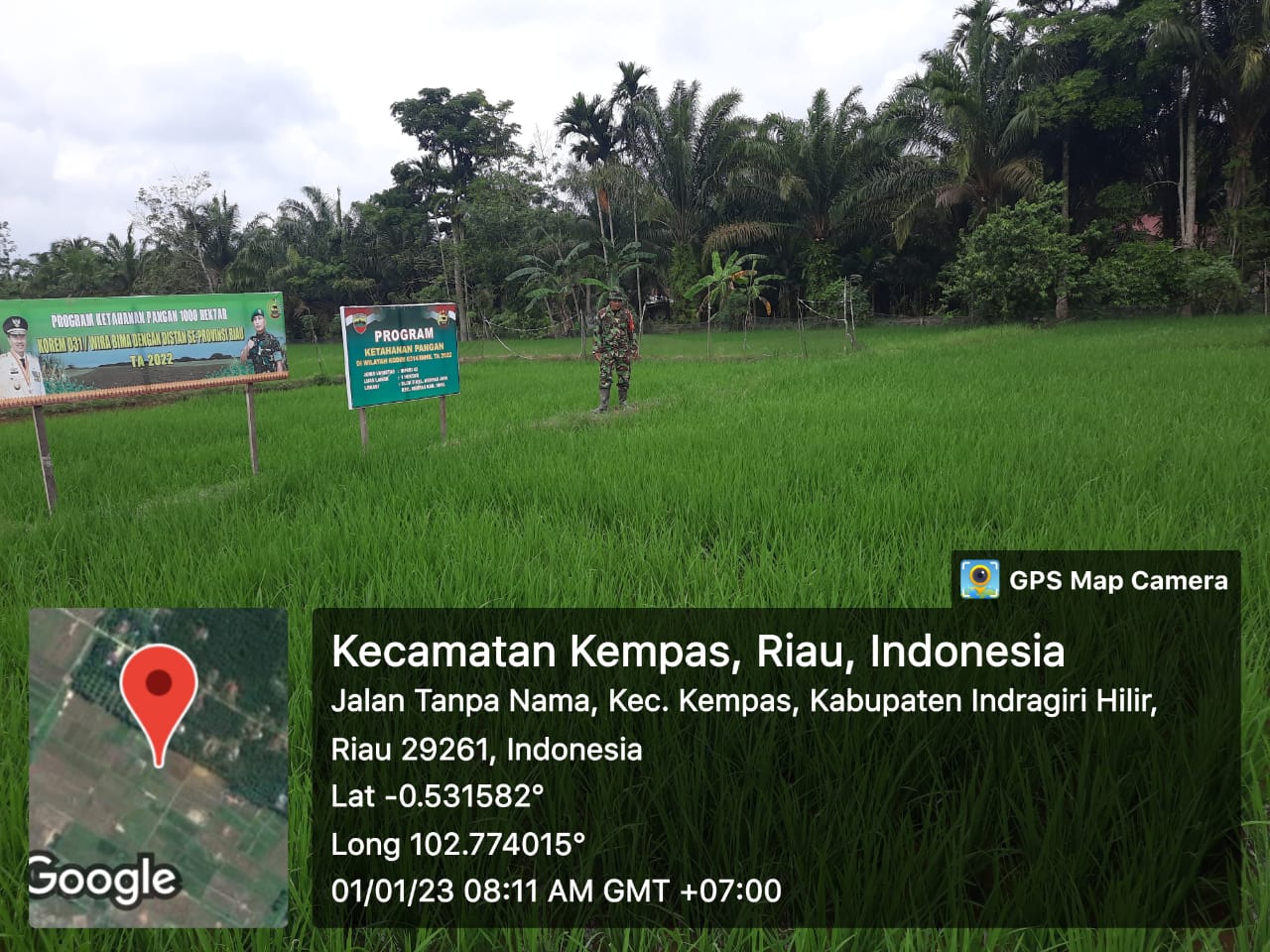 Pantau Pertumbuhan Padi Adalah Rutinitas Pendampingan Babinsa 03/Tpl Terhadap Petani