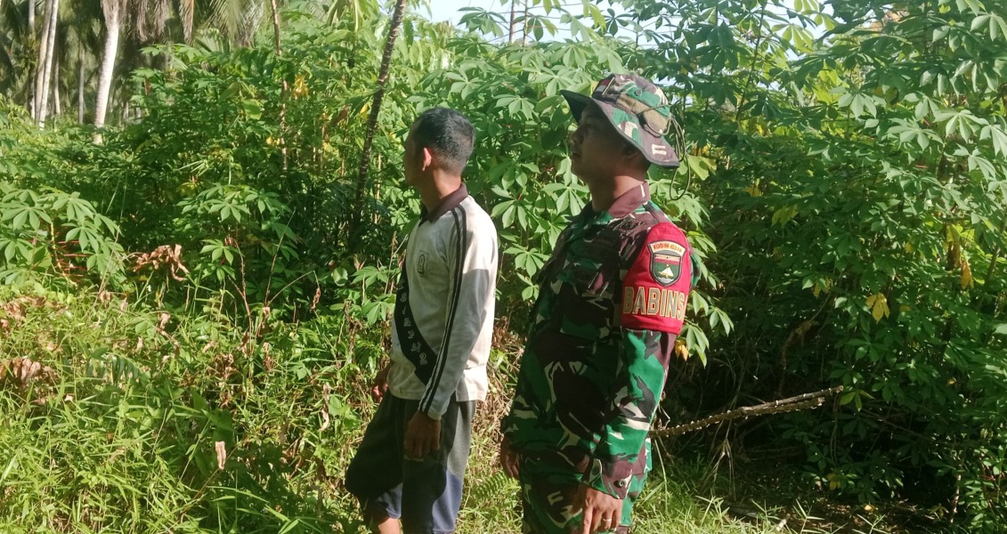 Patroli Tapal Batas, Babinsa Pratu Umar Suganda Imbau Tak Buka Lahan Dengan Cara Membakar