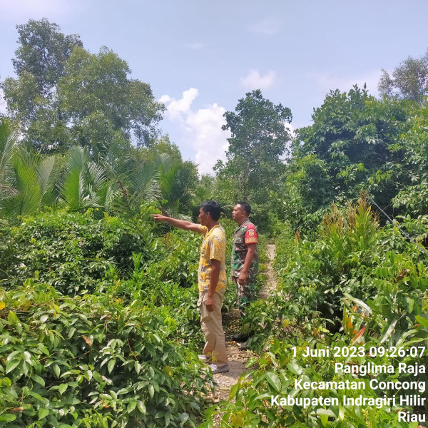Babinsa Koramil 04/Kuindra Lakukan Pencegahan Karhutla Demi Lingkungan Sekitar
