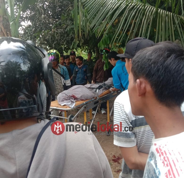 Tabrakan Truk dan Sepeda Motor di Kemuning Inhil, Satu Orang Tewas