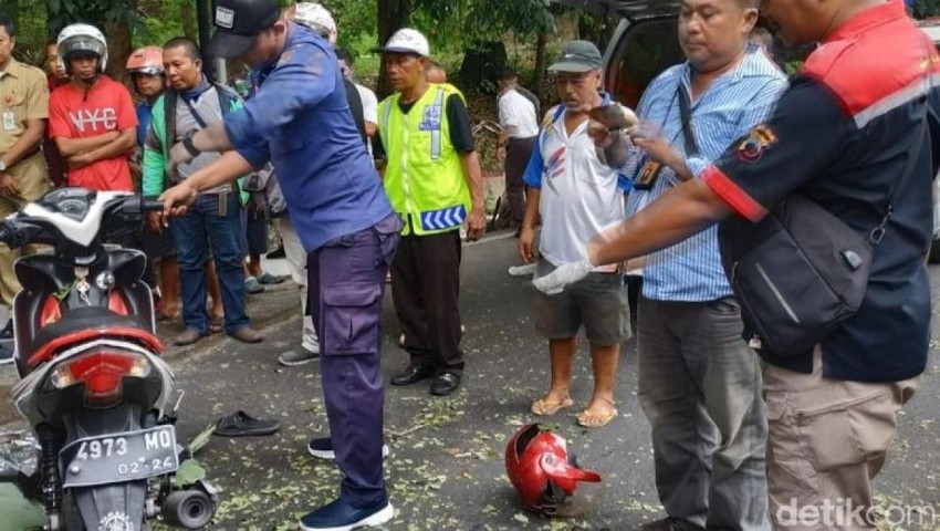 Pemotor Tewas Tertimpa Pohon di Semarang