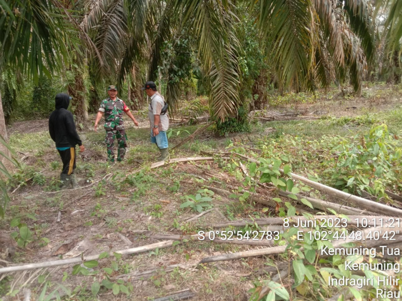 Cegah Kebakaran Lahan dan Hutan, Babinsa Koramil 09/Kemuning Terus Lakukan Patroli di Kemuning Tua