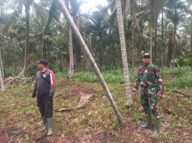 Bhabinsa Koramil 05/Gas Pratu Sandi Laksanakan Patroli Di Lahan Rawan Kebakaran