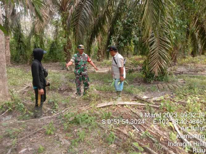 Patroli dan Sosialisasi Karhutla Bersama Babinsa Koramil 09/Kemuning di Desa
