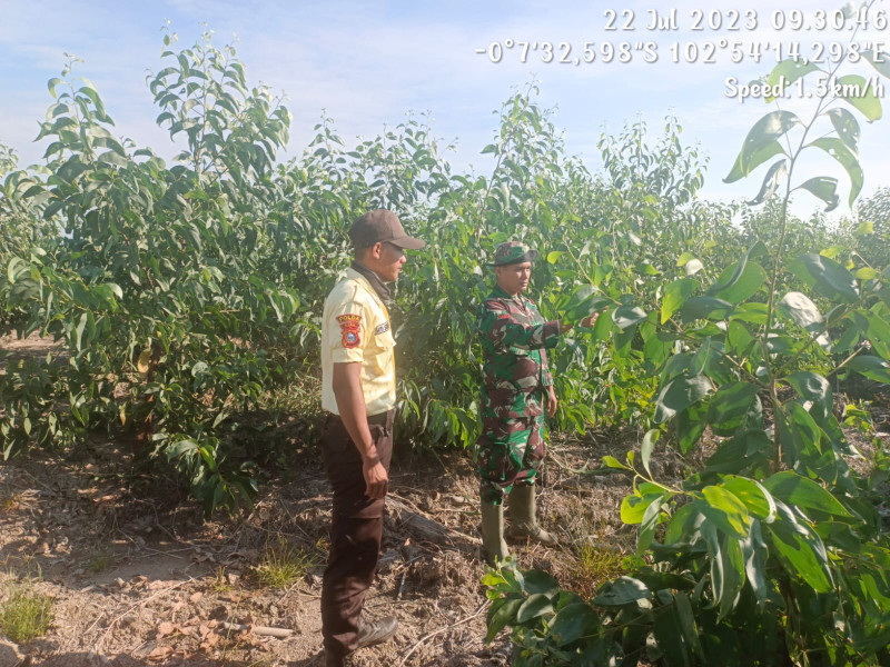 Babinsa Koramil 05/Gas Antisipasi Karhutla Bersama Warga