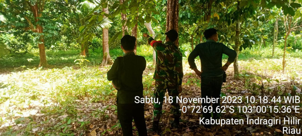 Mewaspadai Kebakaran, Babinsa Koramil 09/Kemuning Turun Untuk Melakukan Peninjauan Terhadap Lahan dan Hutan