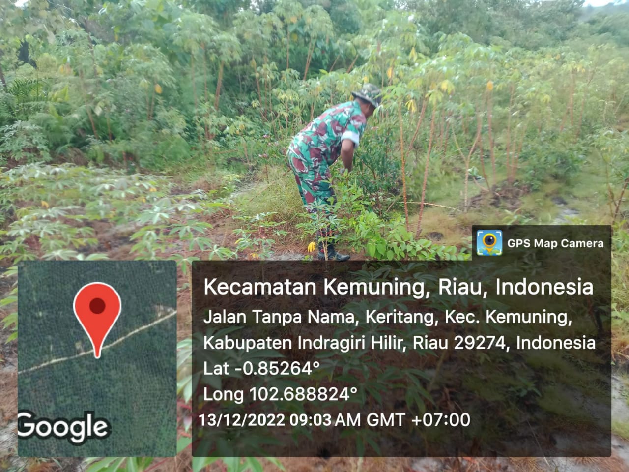 Babinsa Koramil 09/Kemuning Pantau Kondisi Lahan Basah Gulma