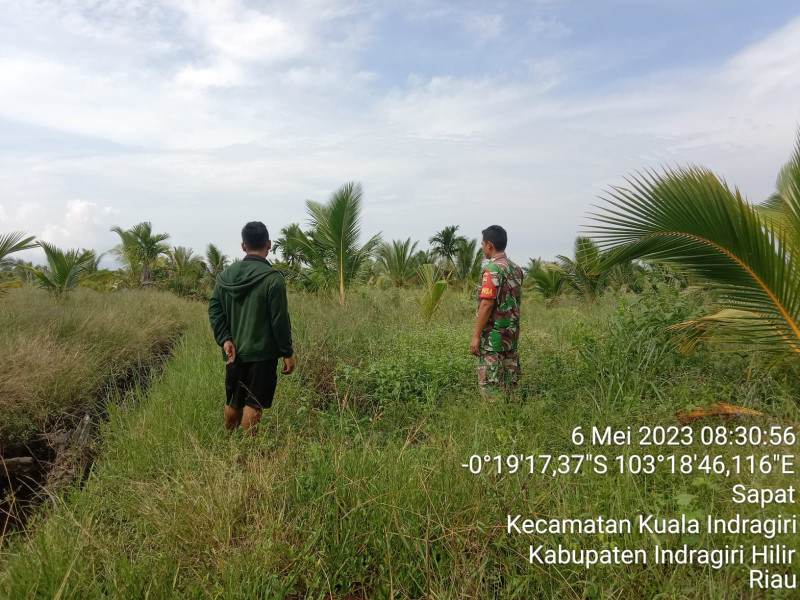 Babinsa Koramil 04/Kuindra Tegakkan Kembali Patroli Karhutla