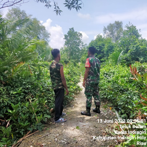 Babinsa Koramil 04/Kuindra Tetap Jaga Hutan dan Lahan Bersama Warga