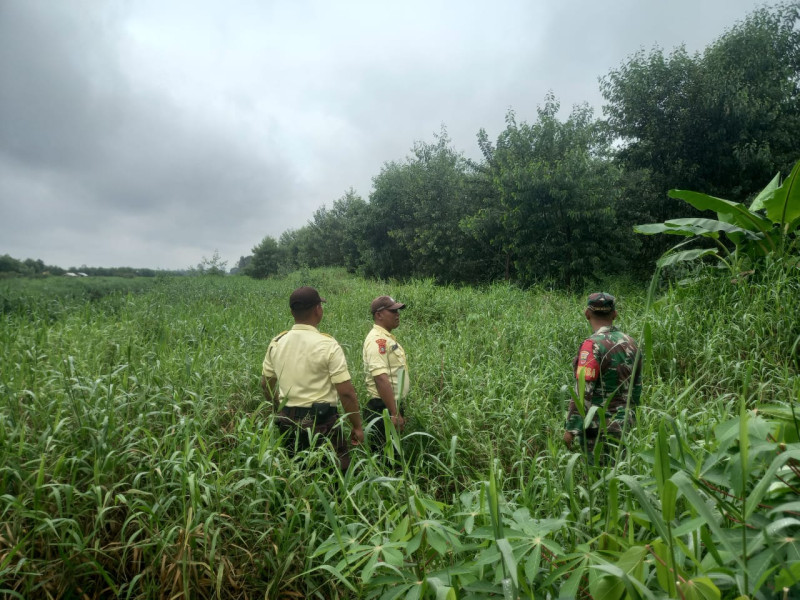 Gencar Laksanakan Patroli Hutan Dan Lahan Bersama Babinsa 05/Gas Pratu Sandi Wahyudi