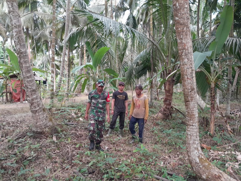 Babinsa Koramil 07/RTH Laksanakan Patroli Tapal Batas di Parit Ban Kelurahan Metro