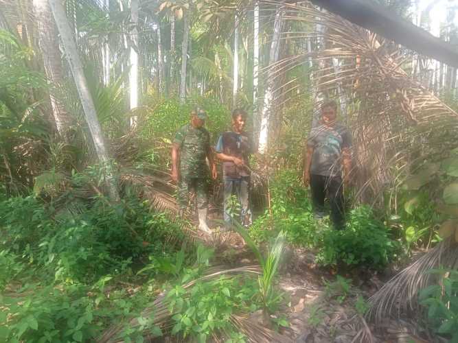 Patroli dan Sosialisasi Lahan dan Hutan Bersama Babinsa Koramil 09/Kemuning