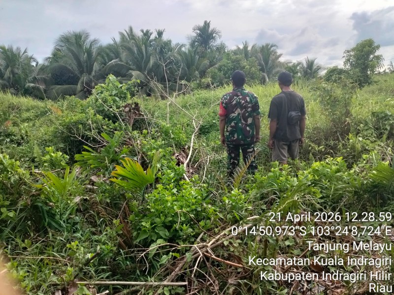 Babinsa Koramil 04/Kuindra Sisir Tapal Batas Tanjung Melayu, Pastikan Inhil Bebas Api dan Asap