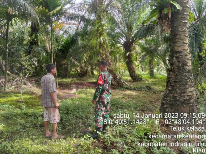 Di Desa Teluk Kelasa, Babinsa Koramil 09/Kemuning Lakukan Patroli Karhutla