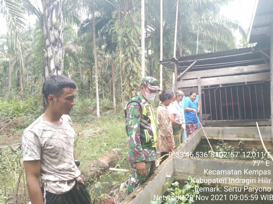 Kemanunggalan TNI dan Rakyat, Babinsa 03/Tempuling Sambangi Usaha Budidaya Ikan Lele Warga Binaan