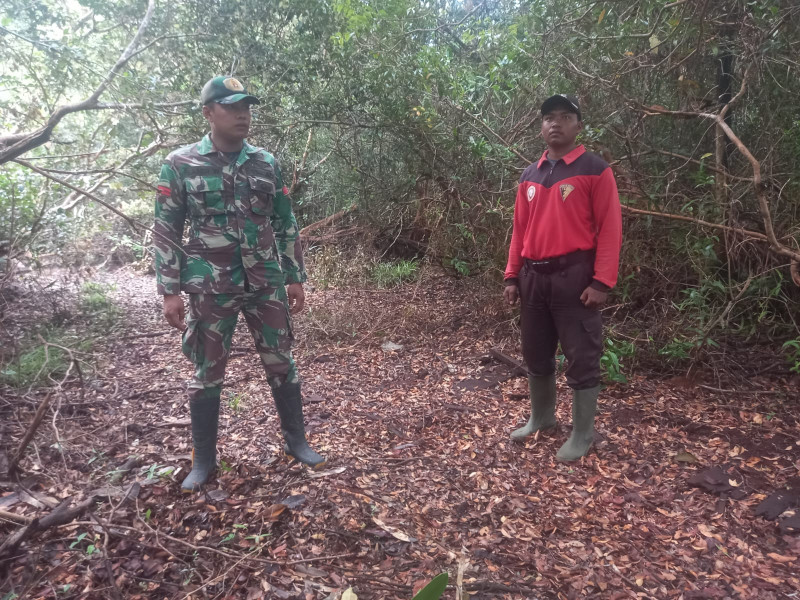 Babinsa 05/Gas Pratu Sandi Wahyudi Giat Rutin Laksanakan Patroli Karlahut