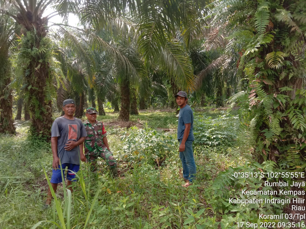 Sertu Mardia Babinsa 03/Tempuling  Lakukan Patroli Karhutla