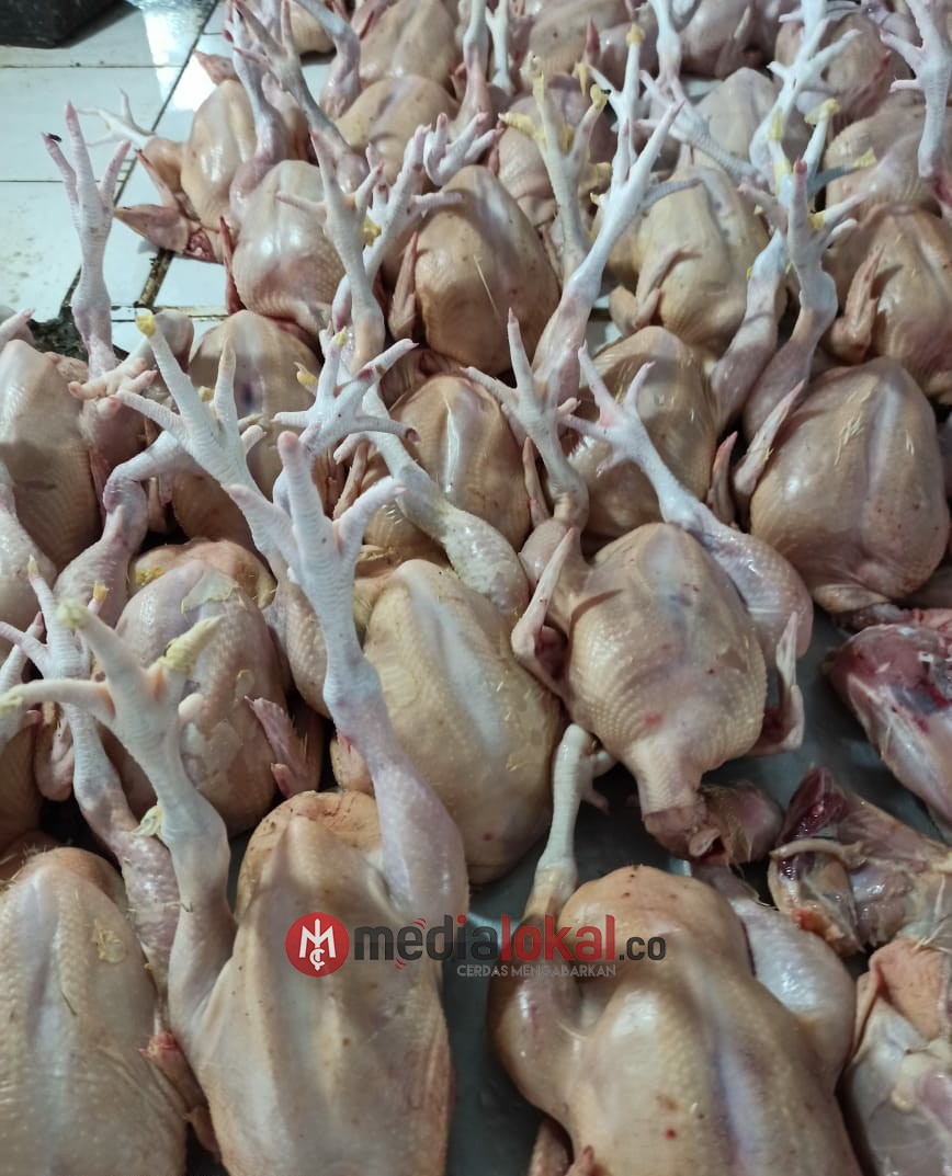 Nasib Pedagang Ayam Potong di Tembilahan, Tak Mengecap Berkah Ramadhan di Tengah Pandemi