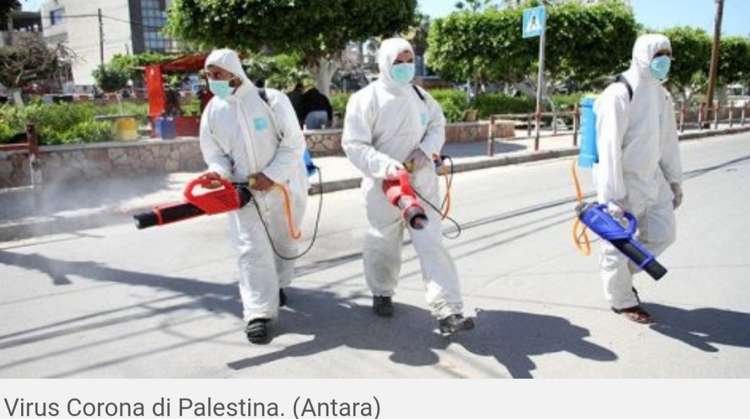 Masya Allah Ini Rahasia 57 Orang di Palestina Sembuh Virus Corona, Yuk Lihat Masya Allah Ini Rahasia 57 Orang di Palestina Sembuh Virus Corona, Yuk Lihat