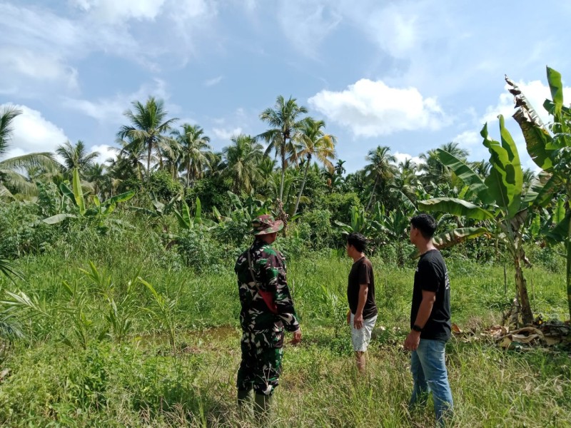 Babinsa Serka Ferry M. Barus Patroli Tapal Batas di Wilayah Koramil 07/RTH