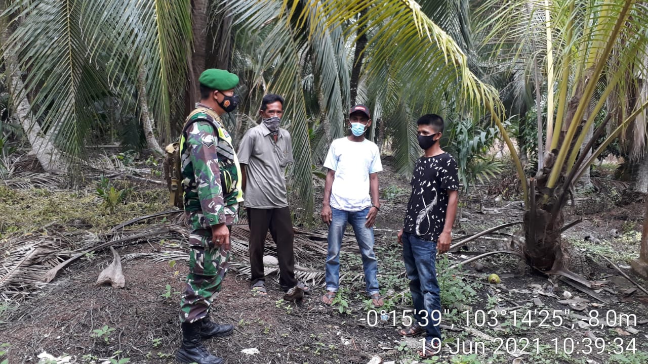 Gencarnya Babinsa Koramil 12/Batang Antisipasi Bahaya Karhutla