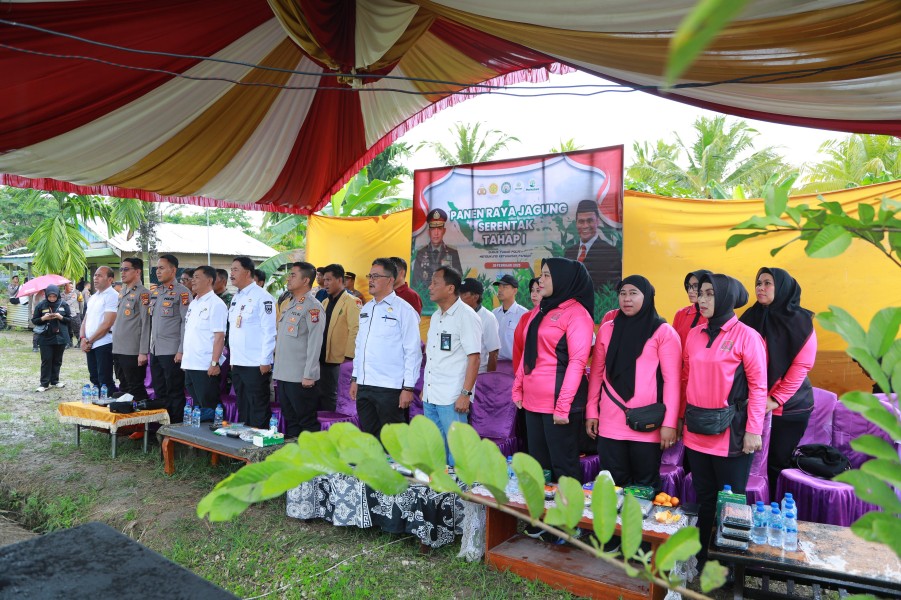 Polres Inhil Gelar Panen Raya Jagung Serentak