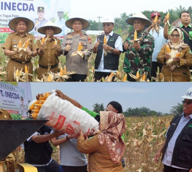 Program Asta Cita Terealisasi di Sibabat Lewat Panen Raya Jagung Pipil