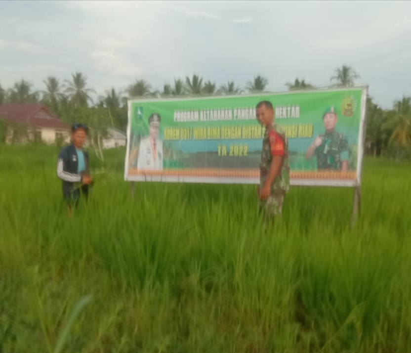 Babinsa Koramil 07/Reteh Giat Lakukan Penanaman Ketahanan Pangan di Wilayah Binaan