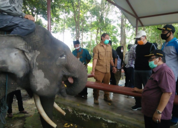 Gubri Disambut Dua Ekor Gajah saat Berkunjung ke Taman Wisata Buluh Cina