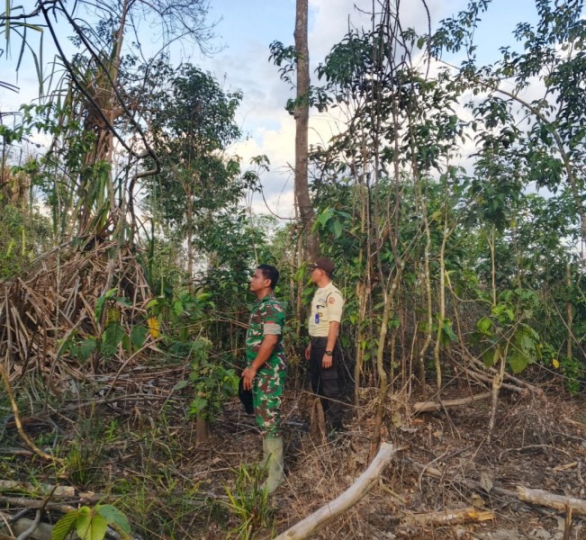 Babinsa Koramil 05/Gas Pratu Hafis Giat Patroli Menjadi Prioritas Di Wilayah Rawan Karlahut