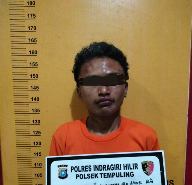 Gerak Cepat, Pelaku Penikaman di Tempuling Berhasil Diamankan Polisi
