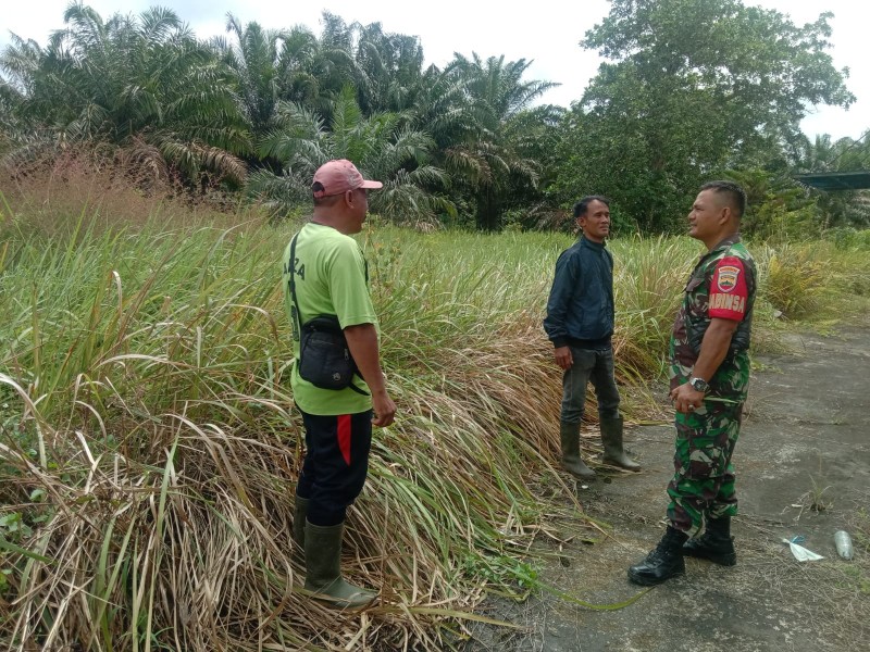 Sinergi Babinsa Koramil 03/Tpl dan Masyarakat Kempas Jaya: Patroli Karhutla untuk Lingkungan yang Lebih Baik