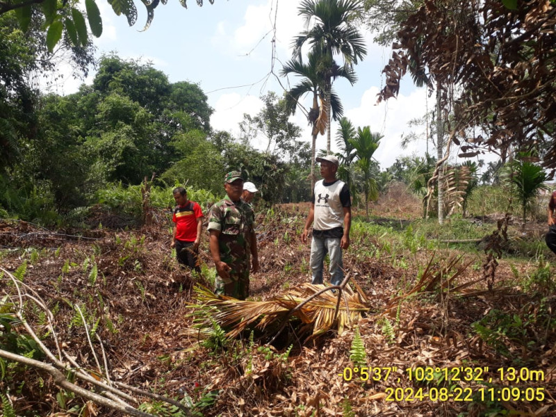 Babinsa Serma Sasmito Turun Ke Lapangan Untuk Laksanakan Patroli di Lahan Terbuka dan Semak Belukar di Wilayah Rawan Karlahut