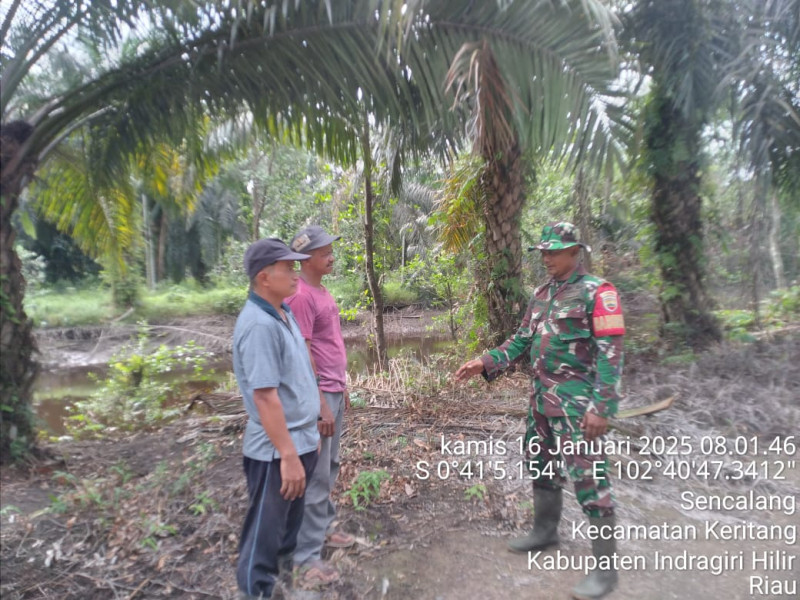 Babinsa Koramil 09/Kemuning Rutin Mengawasi Karhutla di Keritang